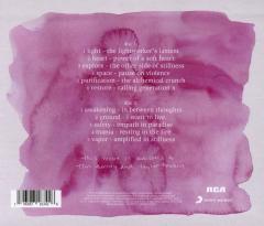 The Storm Before The Calm