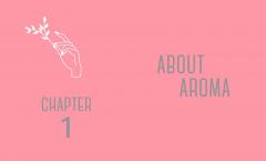 The Little Book of Aromatherapy