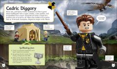 LEGO Harry Potter A Spellbinding Guide to Hogwarts Houses
