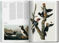 Science Illustration