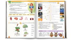 Set educativ pentru clasa a II-a