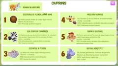 Unicorn si Robo-leu in provocarea cifrelor