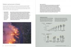 The World Atlas of Trees and Forests