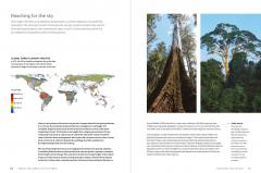 The World Atlas of Trees and Forests