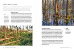 The World Atlas of Trees and Forests
