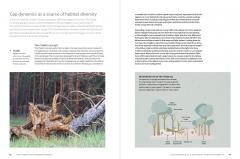 The World Atlas of Trees and Forests