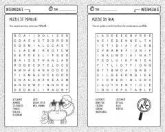 Vocabulary Wordsearches for Clever Kids