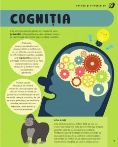 Enciclopedia STEM. 100 de cuvinte pentru copii