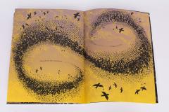 The Worm and the Bird