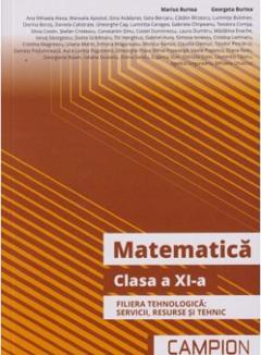 Matematica - Clasa a XI a
