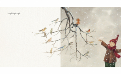 Mesajul pasarilor catre inimile copiilor