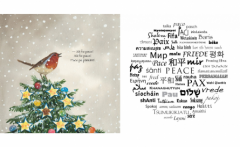 Mesajul pasarilor catre inimile copiilor