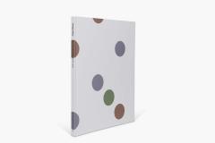 Bridget Riley: Recent Paintings 2014-2017