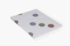 Bridget Riley: Recent Paintings 2014-2017