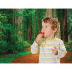 Fluier - Bird - mai multe modele