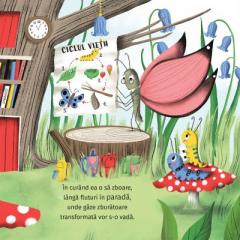 Hai ca poti, Clover!