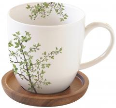 Cana cu farfurie - Natura