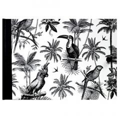 Album foto - Alice Scott