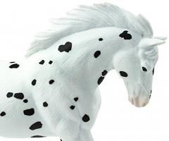 Figurina - Cal Knabstrupper