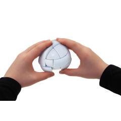 Joc Logic - Morph's Egg