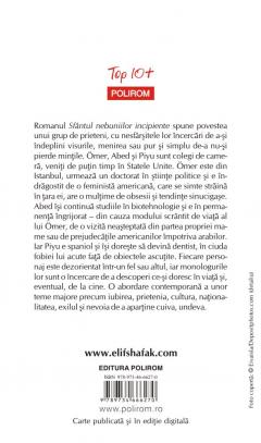 Sfantul nebuniilor incipiente