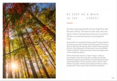 The Little Book of Lykke