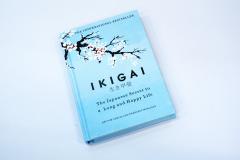 Ikigai: The Japanese secret to a long and happy life