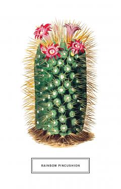 Carti postale-New York Botanical Garden