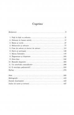 O istorie culturala a nebuniei