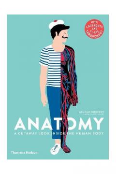 Anatomy - A Cutaway Look Inside the Human Body