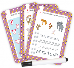 IQ Fun - Perspicacitate