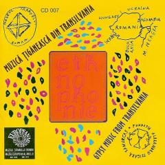 Muzica tiganeasca din Transilvania / Gypsy Music from Transylvania