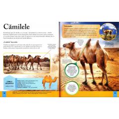 Enciclopedia vizuala a copiilor. Animalele