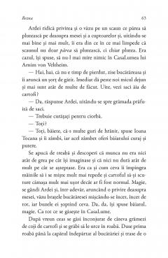 Bezna. Povestitorii din conacul lui von Veltheim