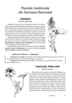 Sanatate din Farmacia Domnului