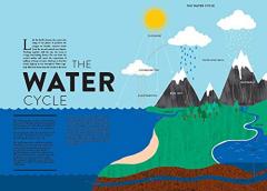 Ocean (Lift the Flap Book)