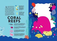 Ocean (Lift the Flap Book)