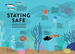 Ocean (Lift the Flap Book)