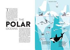 Ocean (Lift the Flap Book)