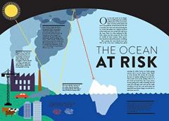 Ocean (Lift the Flap Book)