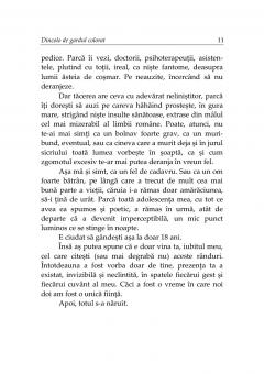 Dincolo de gardul colorat