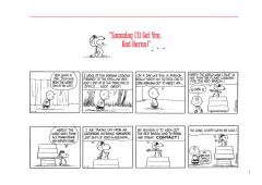 Snoopy Vs. The Red Baron