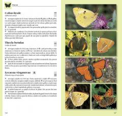 Determinator de plante și animale