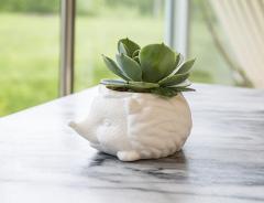 Ghiveci - Prickles The Hedgehog