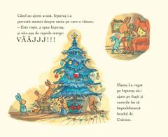 Craciunul lui Iepuras