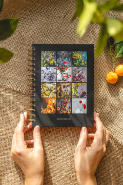 Agenda cu exercitii de creativitate si miniaturi