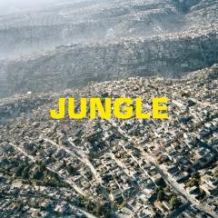 Jungle - Vinyl