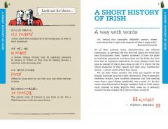 Irish Language & Culture