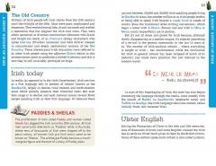 Irish Language & Culture