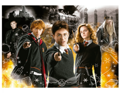 Puzzle 1000 piese - Harry Potter - Neon - Model 1